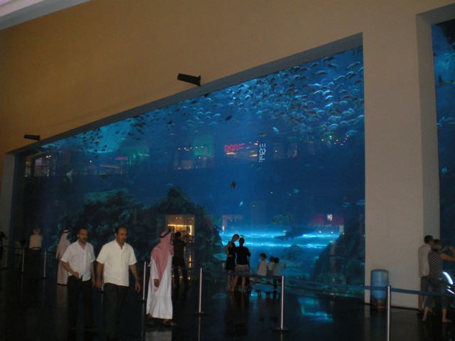 Dubai+mall+aquarium+photos