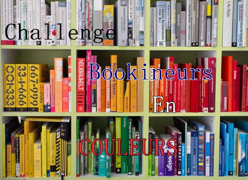 http://www.leslecturesdeliyah.com/wp-content/uploads/2012/11/Logo-challenge-bookineurs-en-couleurs.jpg