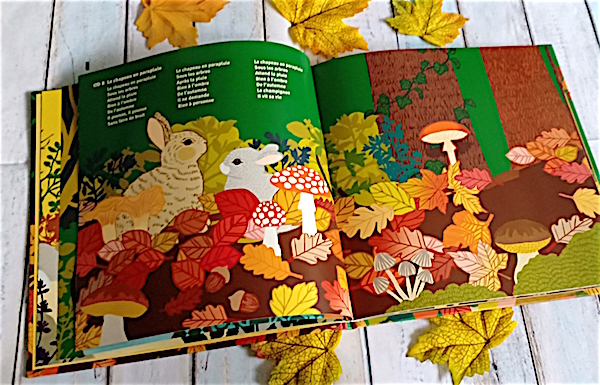 Bulle Et Bob Dans La Foret Bulle Et Bob Dans La Forêt – Liyah.fr – Livre enfant | Manga Shojo | BD