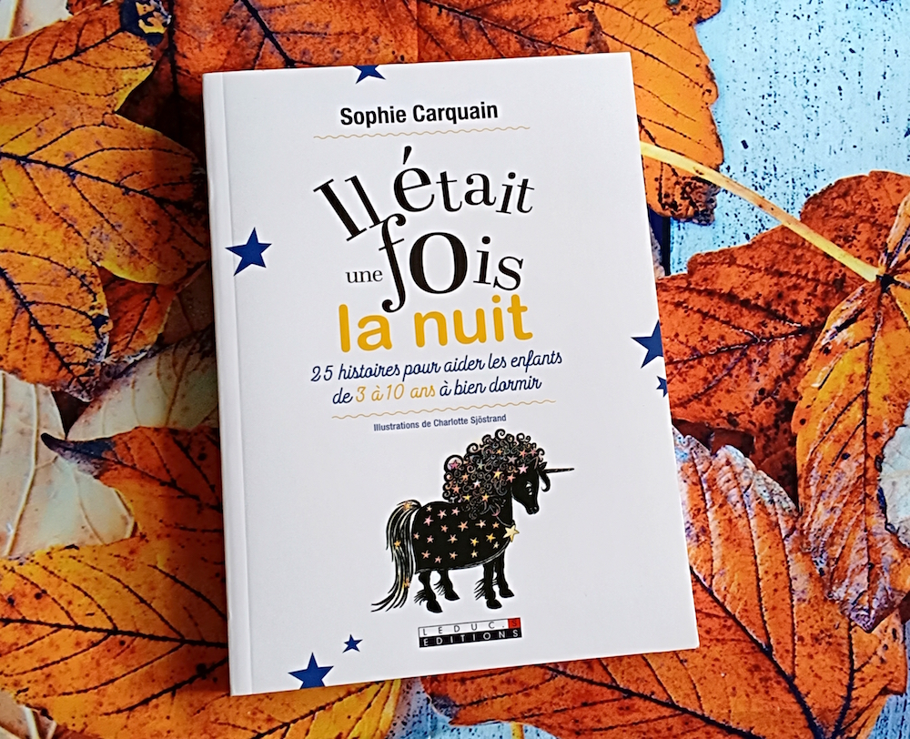 Il était Une Fois L Histoire D Un Ado Il Etait Une Fois La Nuit – Liyah.fr – Livre enfant | Manga Shojo | BD