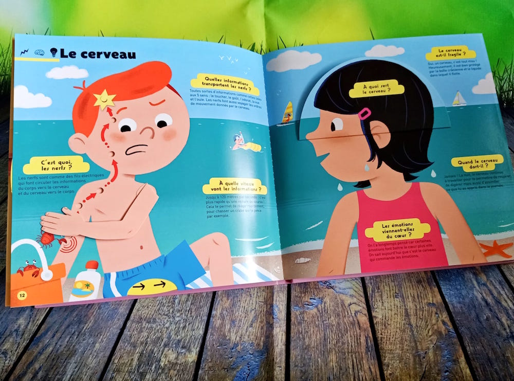 Livre Tout S Est Bien Passé Kididoc : Des Livres Pour Apprendre – Liyah.fr – Livre enfant | Manga