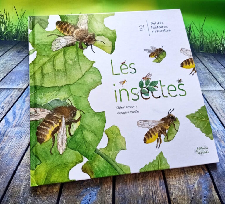 Les Insectes Liyahfr Livre Enfant Manga Shojo Bd Livre Pour