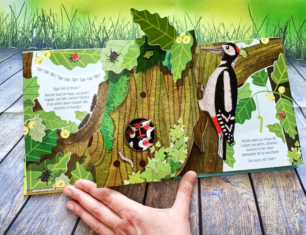 Le Livre Des Arbres Et Plantes Qui Restent à Découvrir Mon Livre Pop-Up La Nature – Liyah.fr – Livre enfant | Manga Shojo | BD