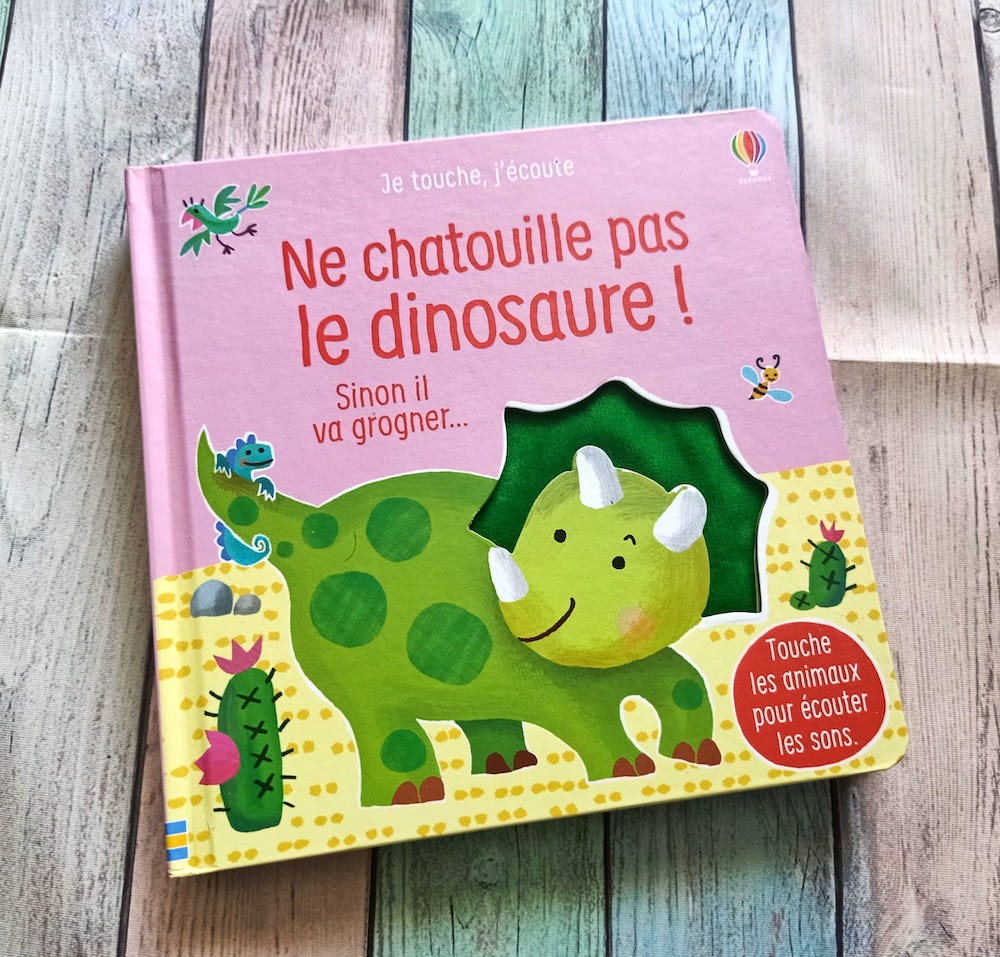 Il Ne Faut Pas Toucher Un Dinosaure Ne Chatouille Pas Le Dinosaure ! – Liyah.fr – Livre enfant | Manga