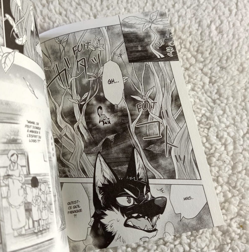 Le Renard Et Le Petit Tanuki Tome 3 Le Renard Et Le Petit Tanuki – Liyah.fr – Livre enfant | Manga Shojo